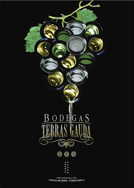 Bodegas Terras Gauda 2