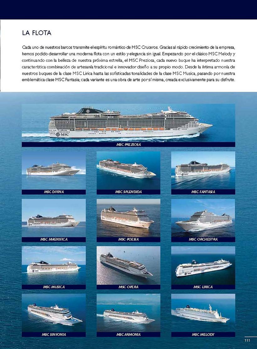 MSC Catalogue 1