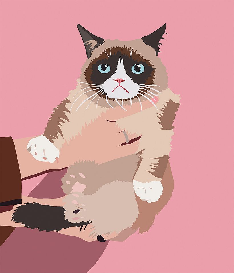 Grumpy Cat 1