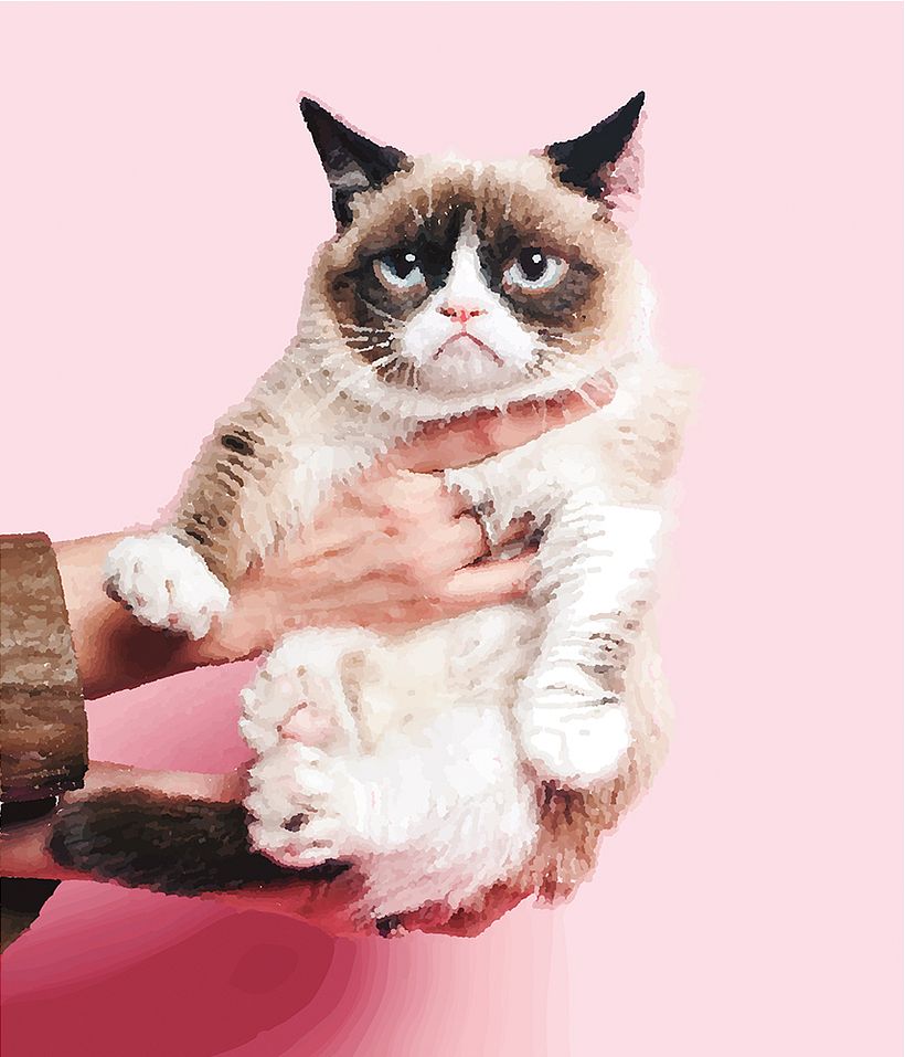 Grumpy Cat 2