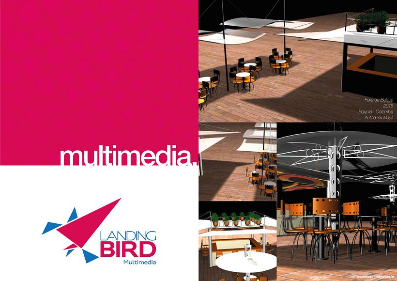 Multimedia  -1