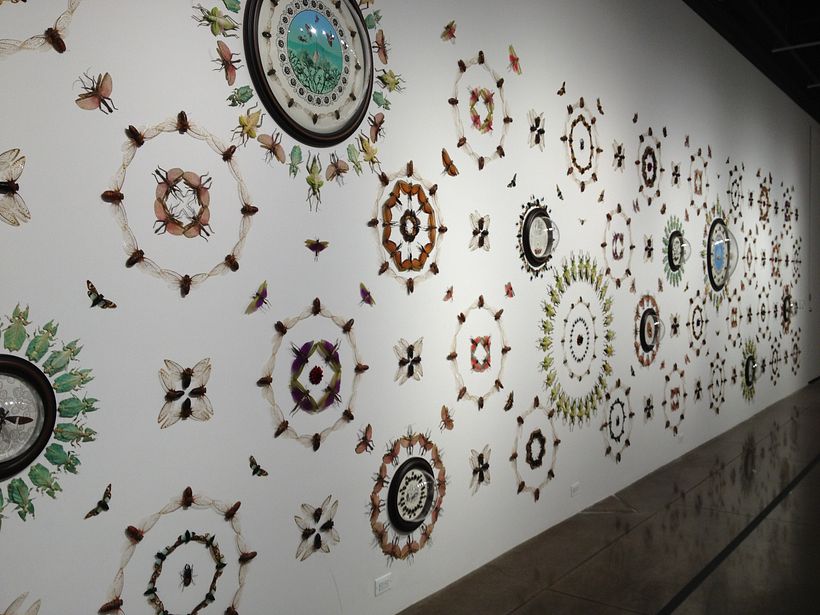 Jennifer Angus y sus murales de 6 patas  4