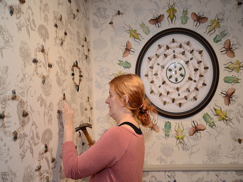 Jennifer Angus y sus murales de 6 patas  6