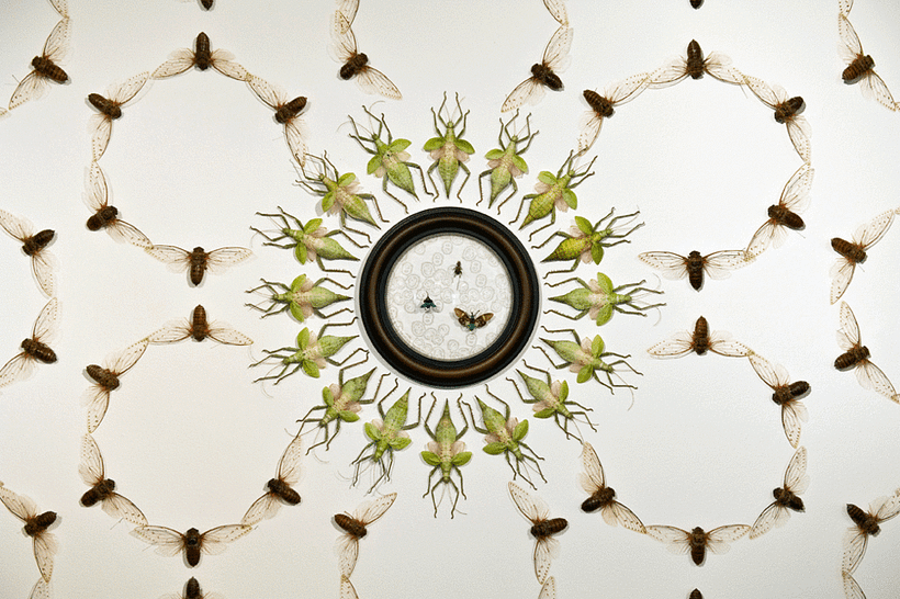 Jennifer Angus y sus murales de 6 patas  7