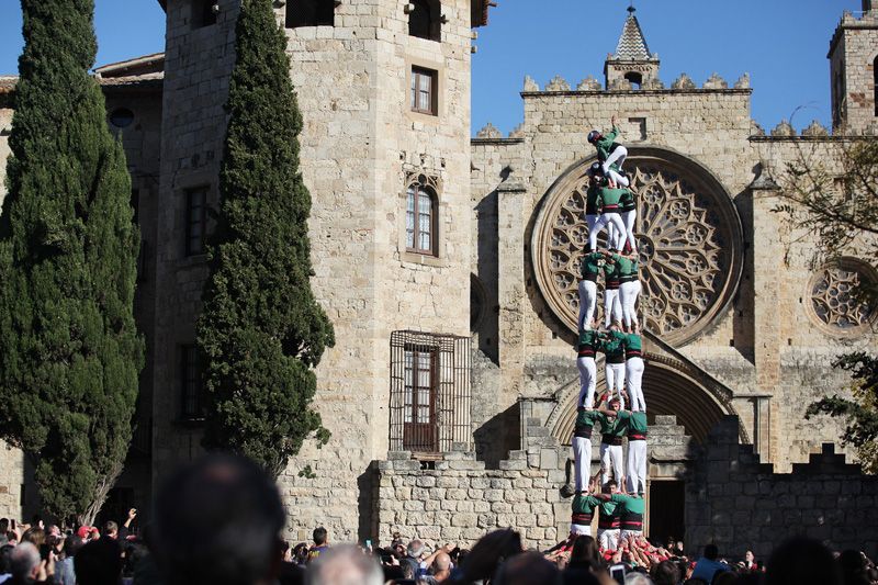 Traditions 8