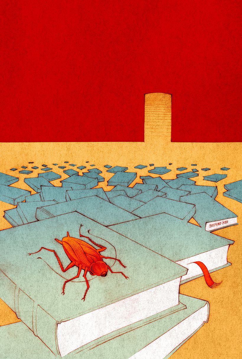 El Libro Salvaje  |  Novela ilustrada 1