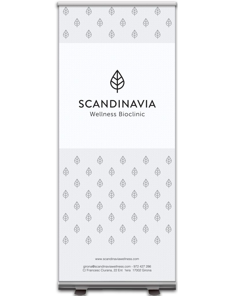 SCANDINAVIA | Roll-up 0
