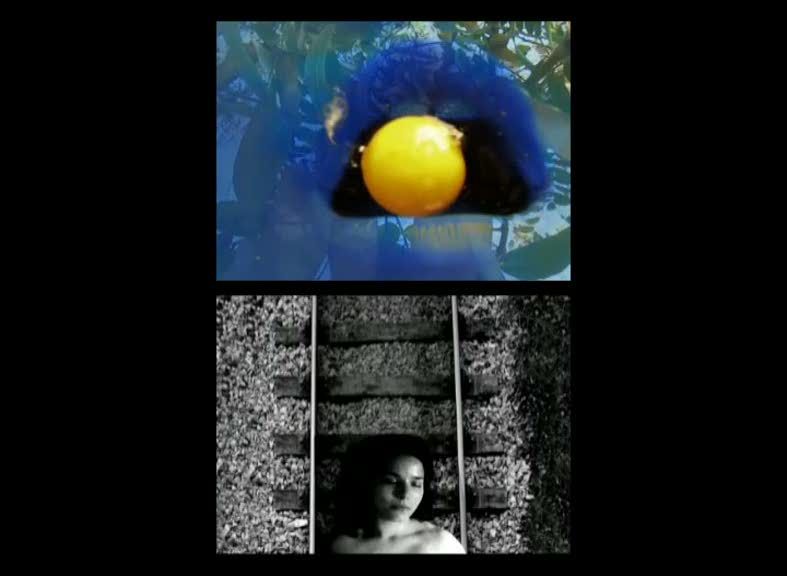 Videoarte "La Rendición" - Artes plásticas