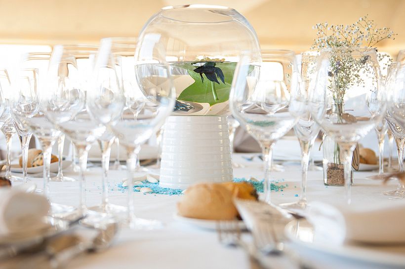 Weddinghalls -1