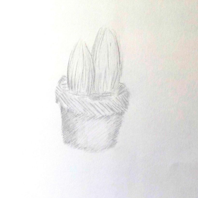 Assigments for "Fundamentals of Graphic Design". 0