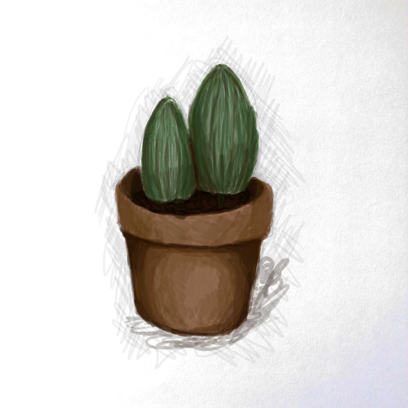 Assigments for "Fundamentals of Graphic Design". 7