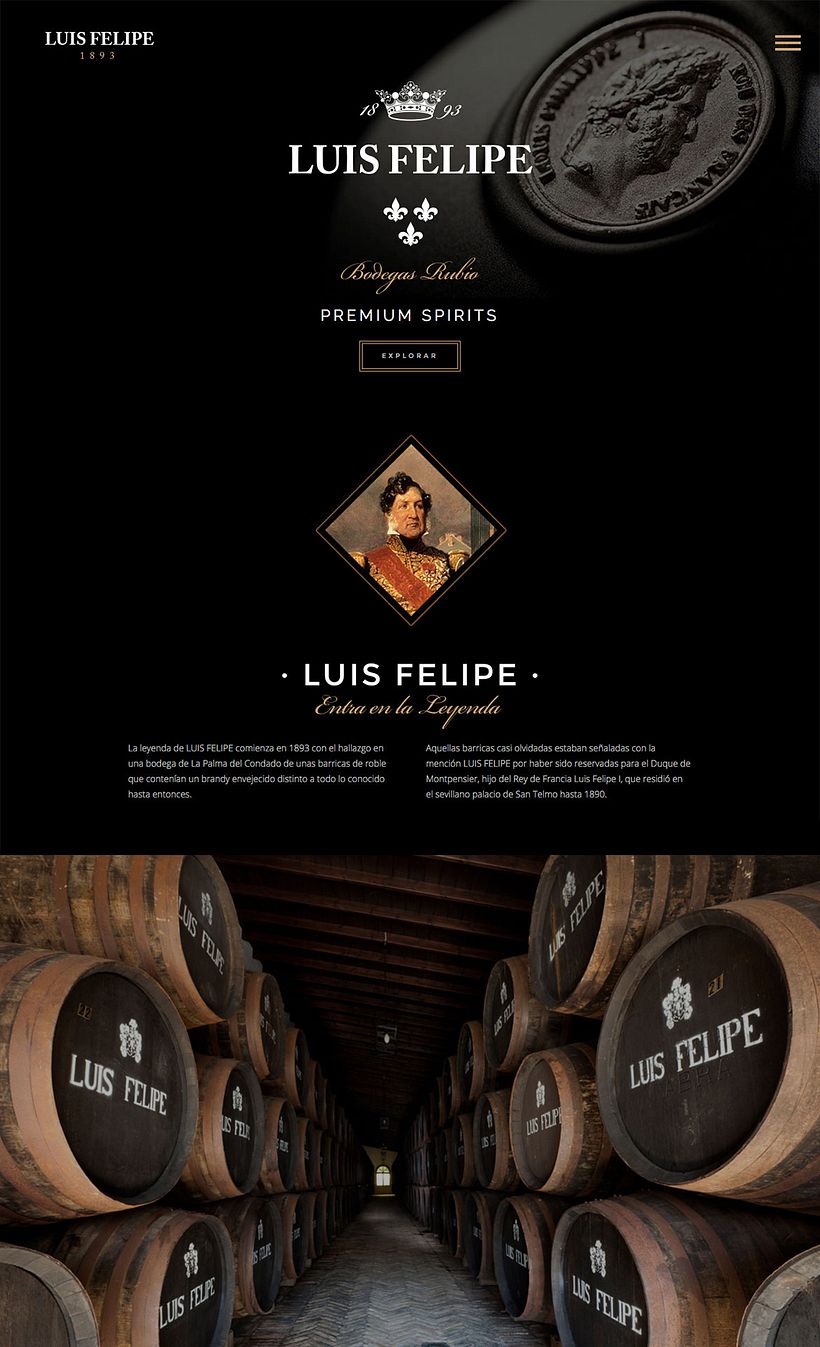 Brandy Luis Felipe. Diseño de Página Web 0