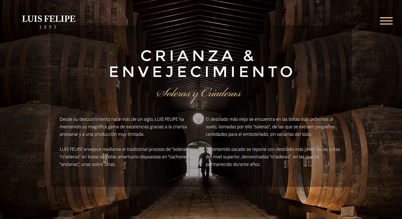 Brandy Luis Felipe. Diseño de Página Web 1