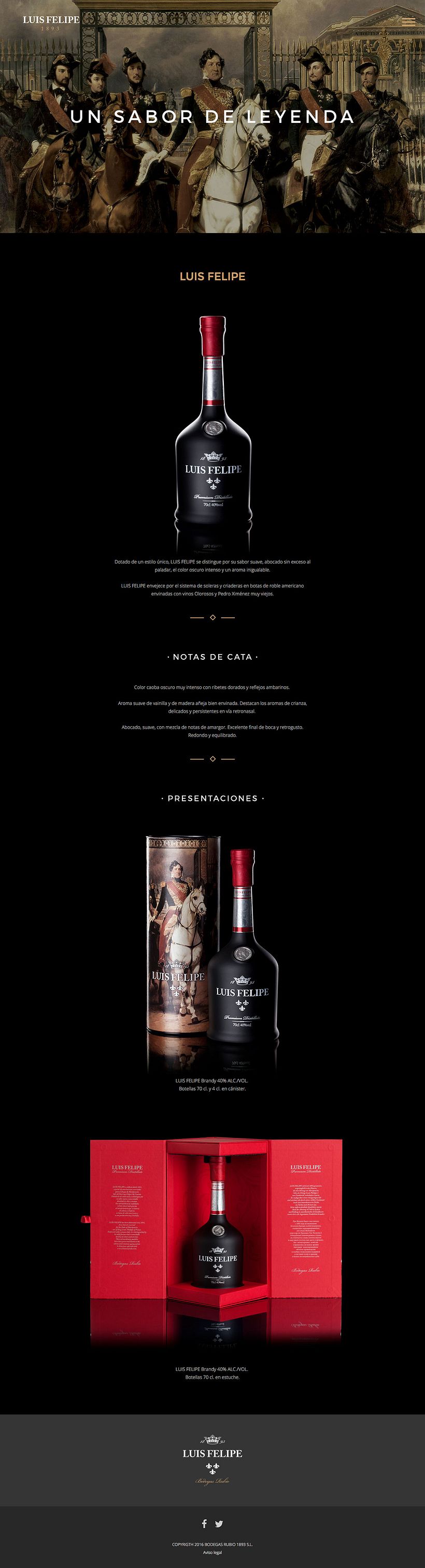 Brandy Luis Felipe. Diseño de Página Web 3