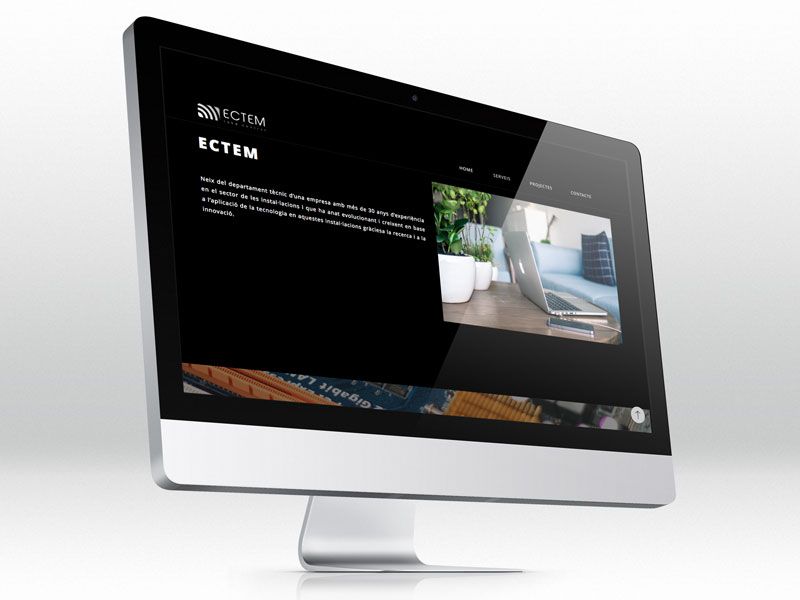 ECTEM. Web en fase beta 2