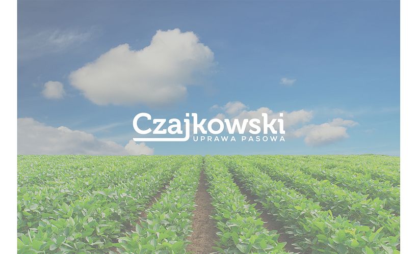 Czajkowski 6