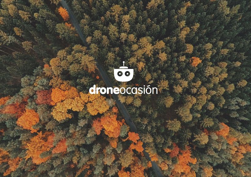 DRONE -1