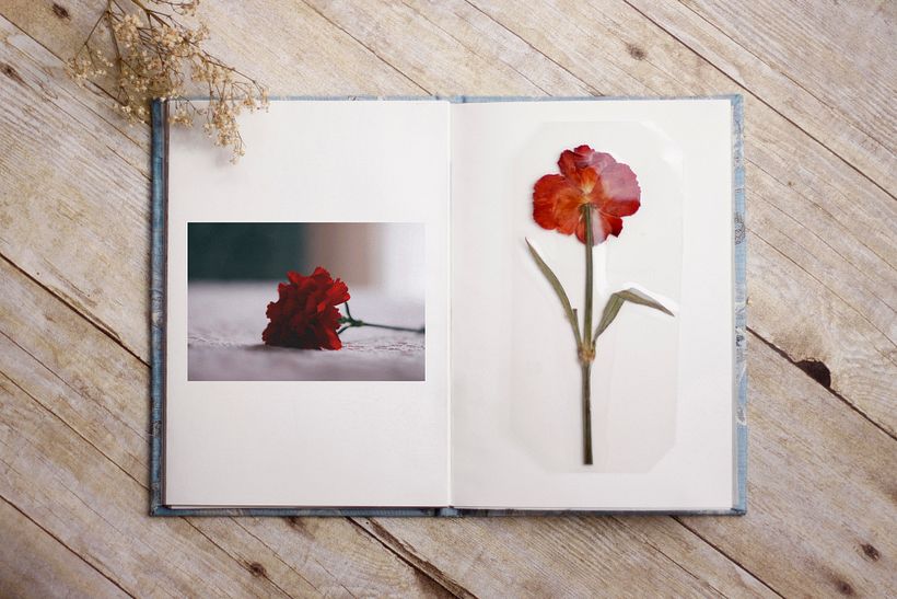 Photobook: Two souls 16