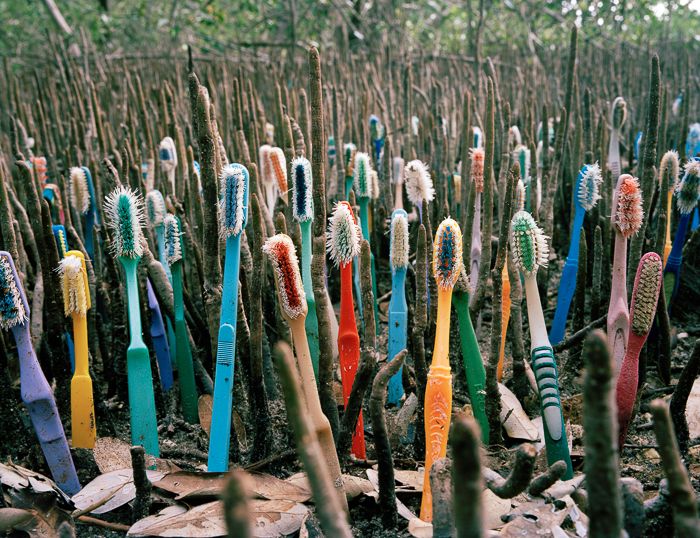 Basura hecha arte por Alejandro Durán 2