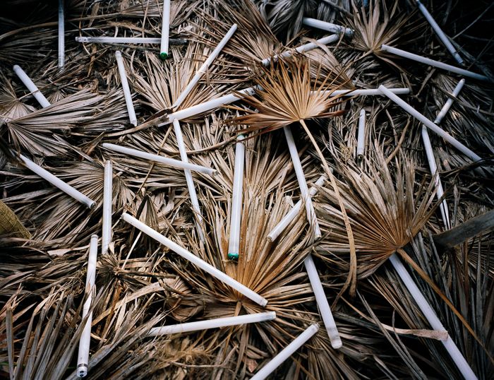 Basura hecha arte por Alejandro Durán 5