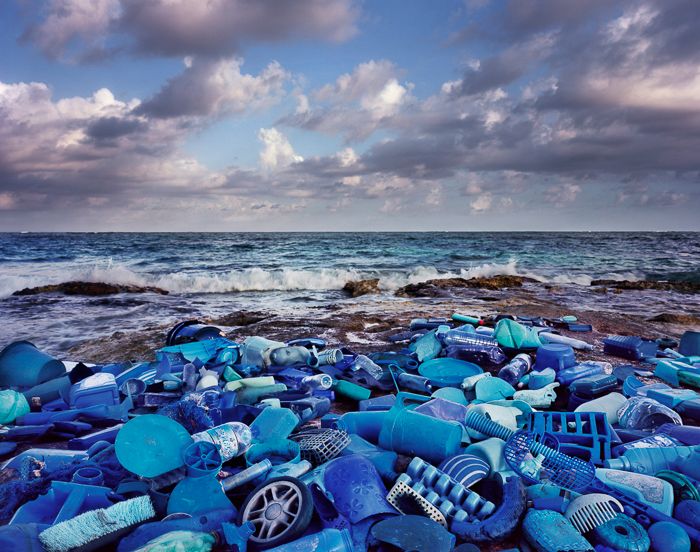 Basura hecha arte por Alejandro Durán 6
