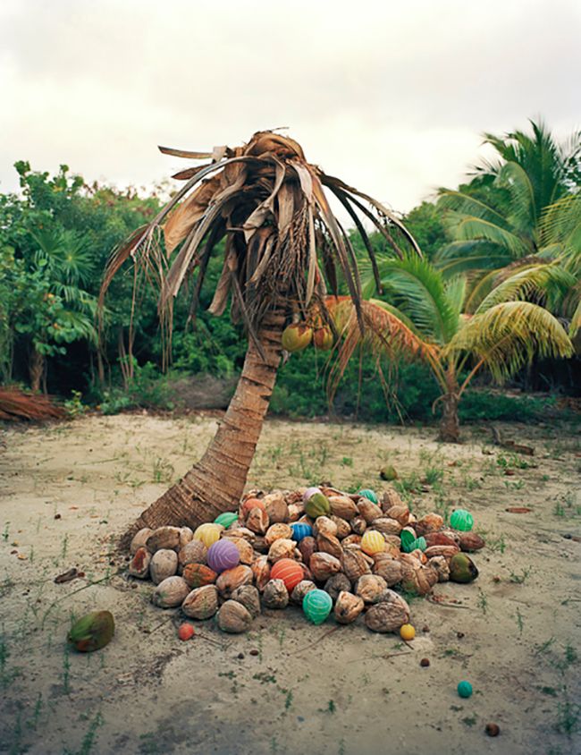 Basura hecha arte por Alejandro Durán 9