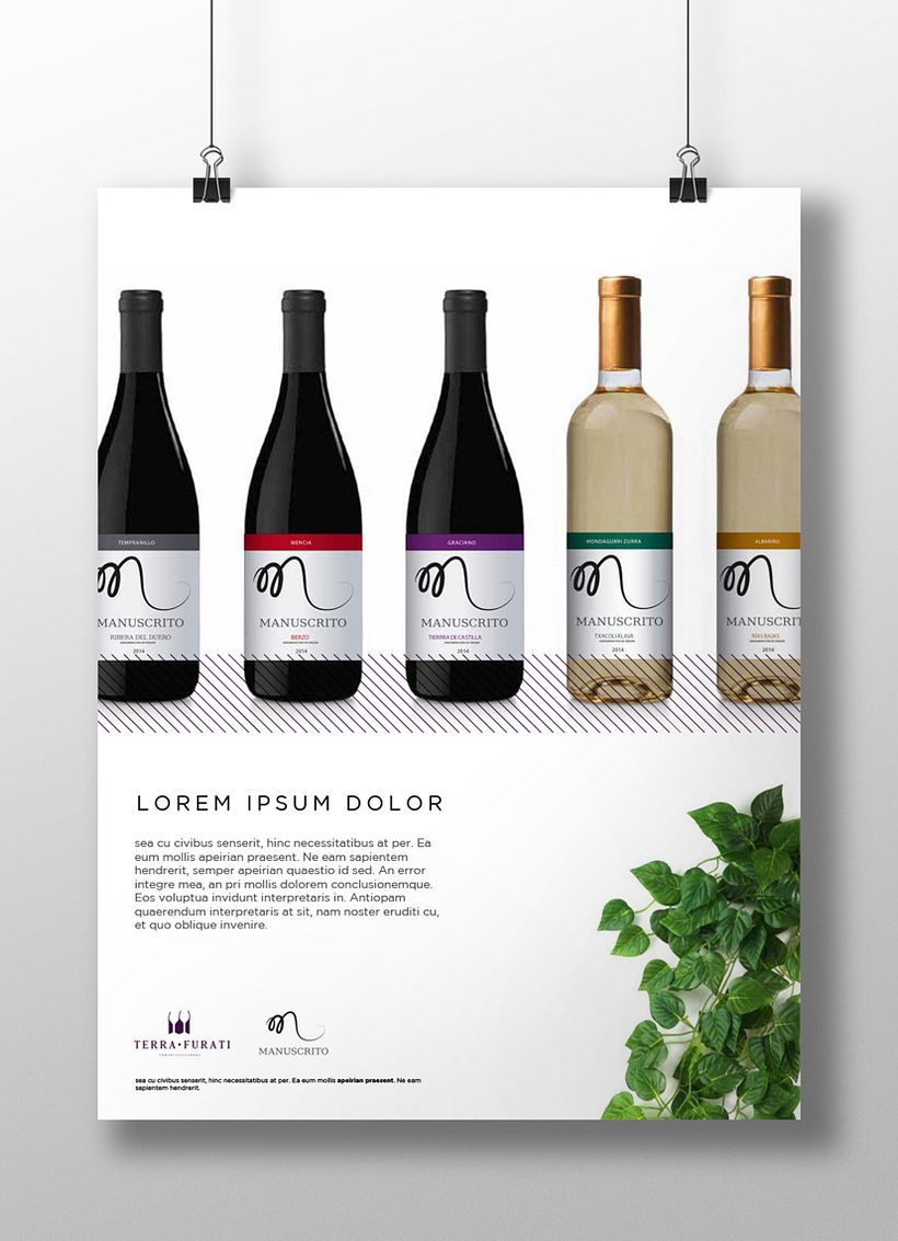 Terra Furati: Branding 5