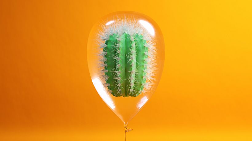 Cactus 0