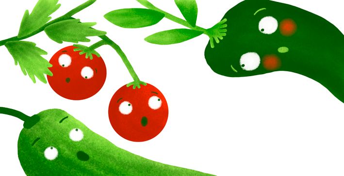 El secreto del huerto de Lino 7