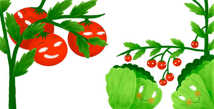 El secreto del huerto de Lino 3