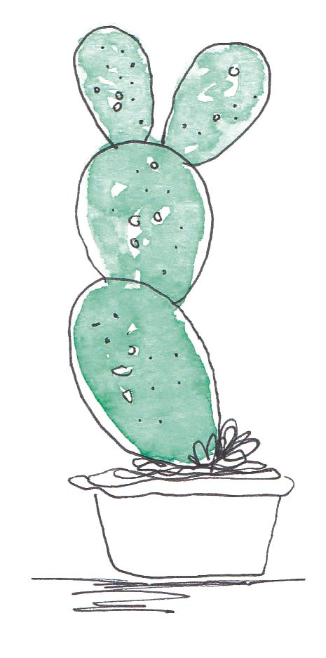 CACTUS PATTERN 1