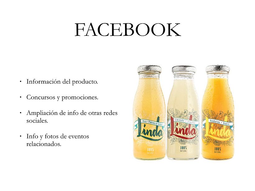 Linda Social Media Plan 4