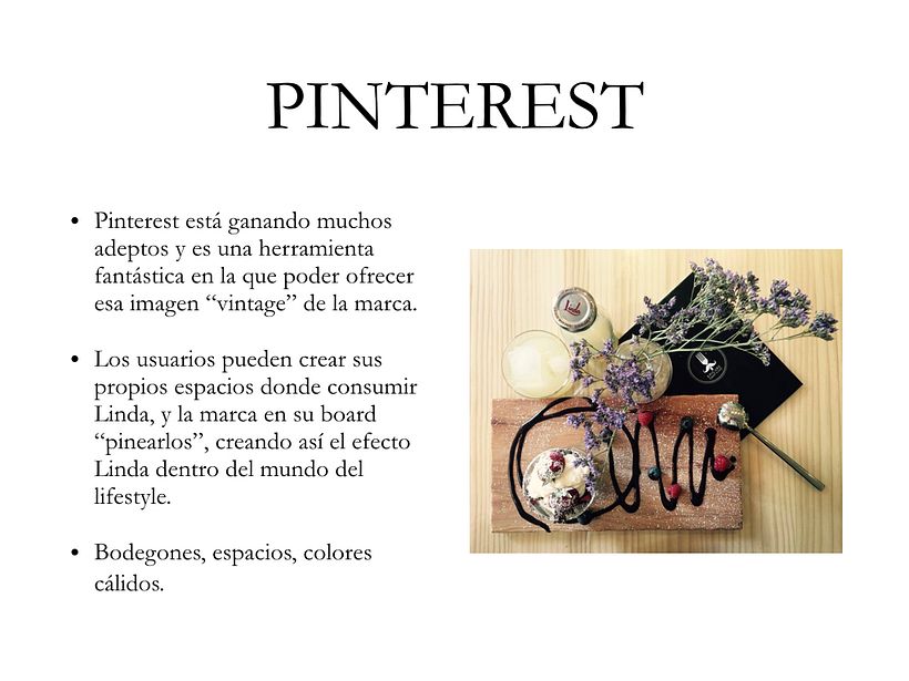 Linda Social Media Plan 7