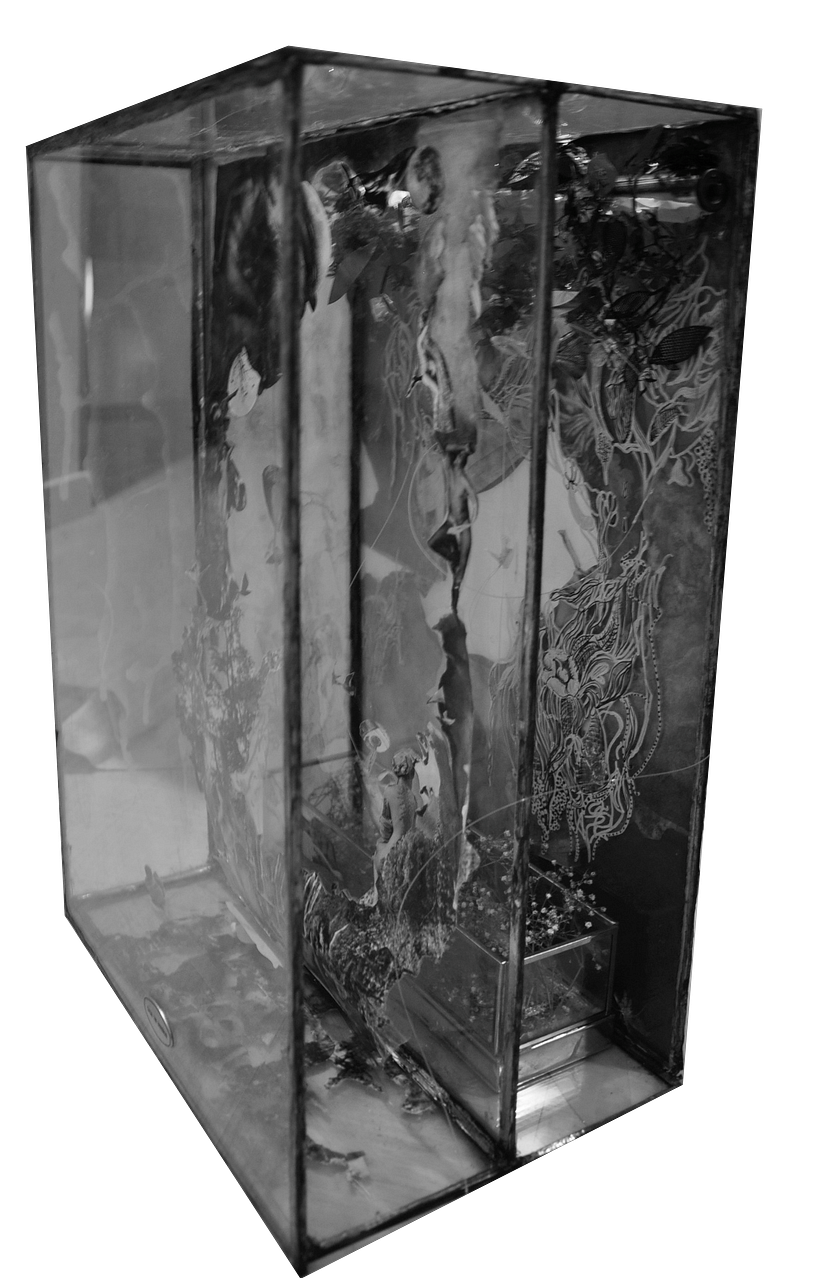Caja de sueños 1