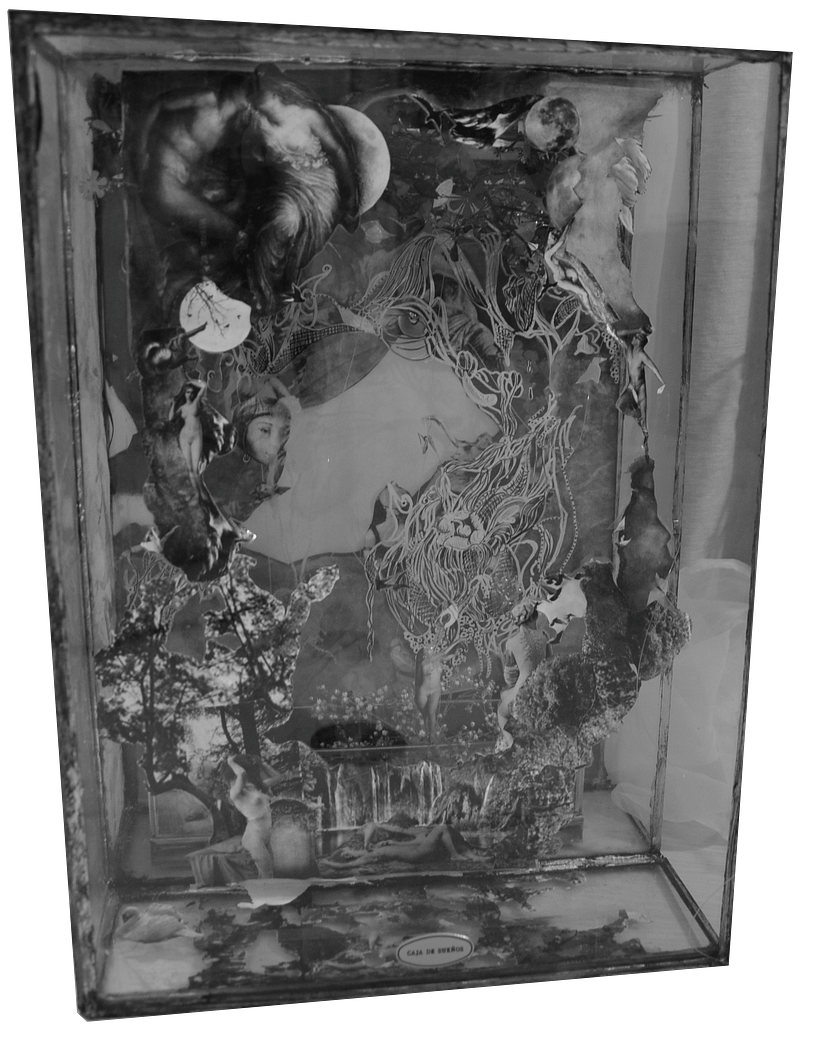 Caja de sueños 0