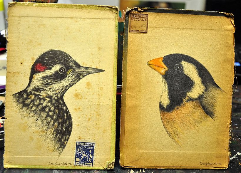 15 ilustradoras argentinas que debes conocer 11