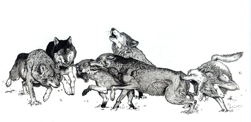 Dibujos a tinta 4