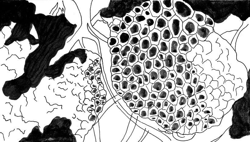 Fractal - Animație