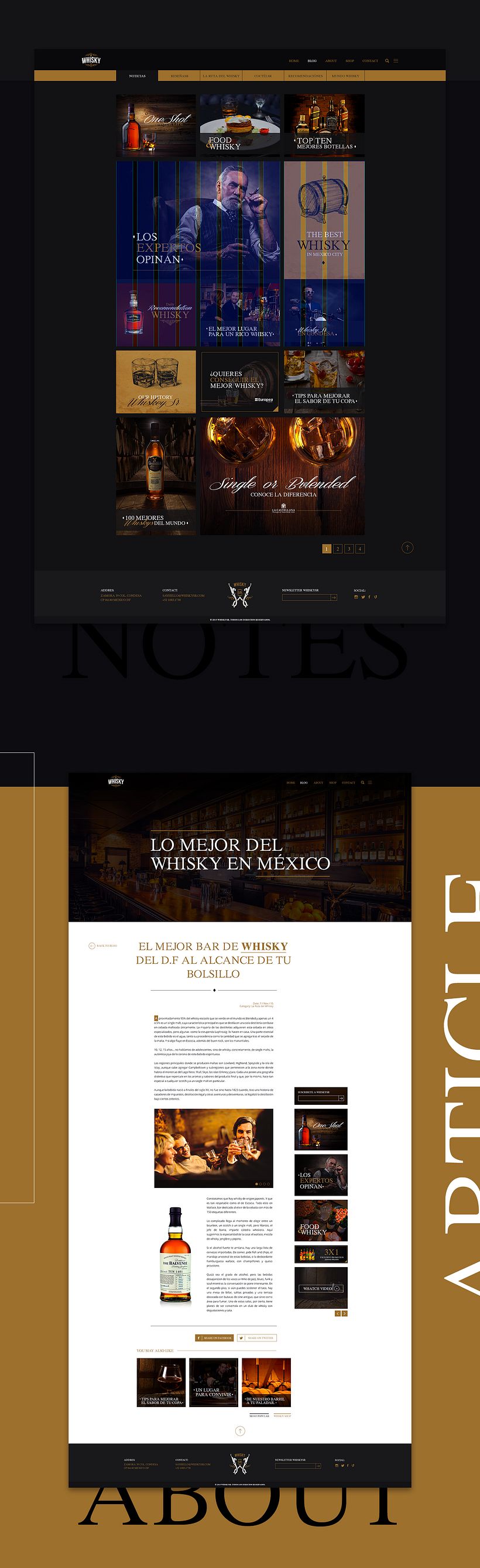 WhiksySr Branding & Web 7