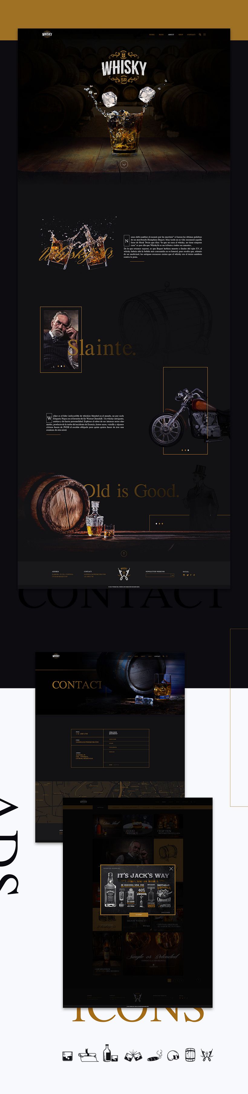 WhiksySr Branding & Web 8