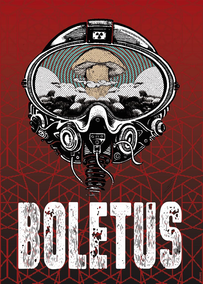 BOLETUS -1