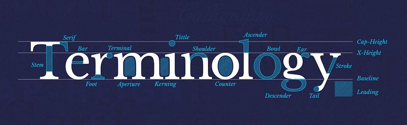 Aprende y domina la terminología tipográfica con Type Terms 1