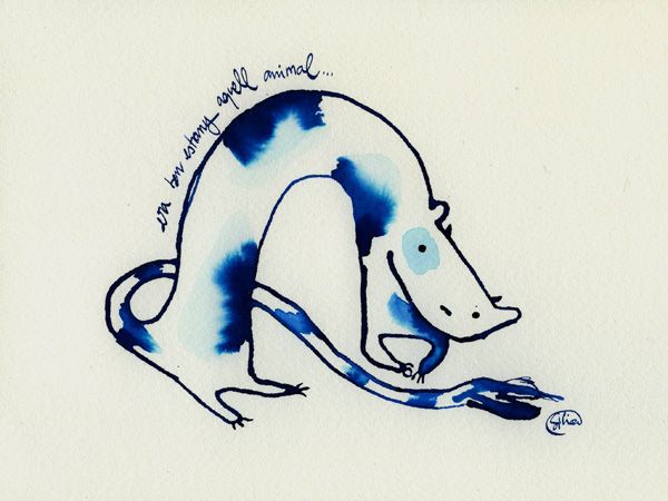 Estranys animals 9
