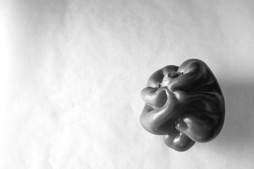 Grotesque - Fotografía