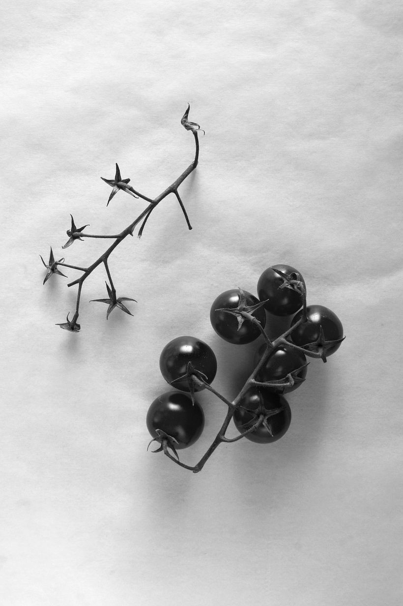 Grotesque - Fotografía
