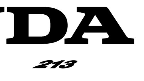 Bordes de sierra en corel al importar imagenes 1