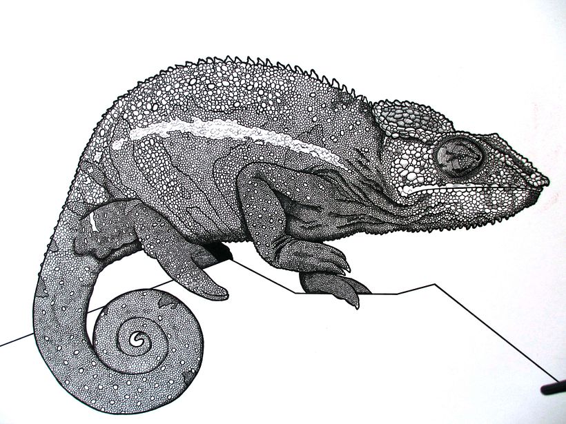 Dibujos a tinta 5