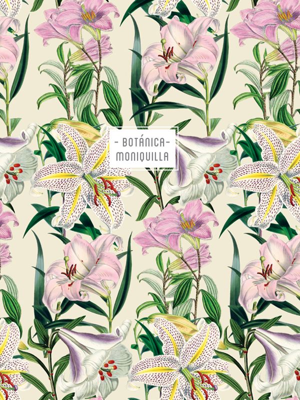 Colección Botánica 0