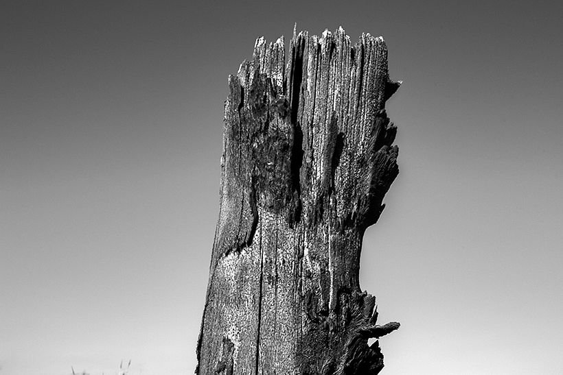 Desert 8