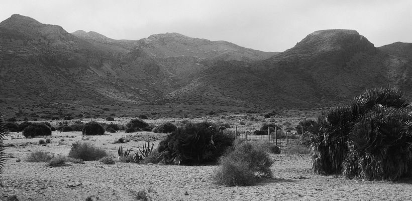 Desert 10